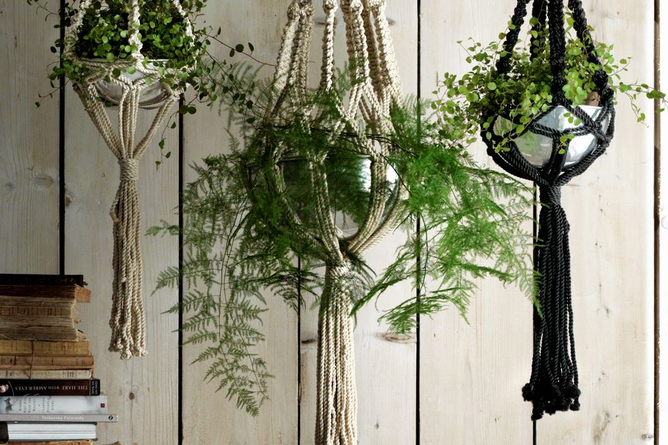 Macrame plant hangers from Graham and Greene.