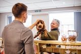thumbnail: The Kilkenny man is also excited about the prospect of offering other high-margin services, such as doggy day care and pet hotels. Photo: Getty Images