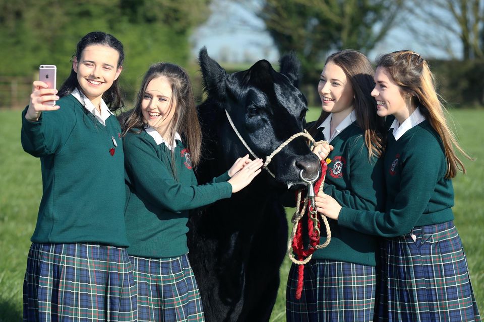 Emily Browne, Tara Frehill, Shauna Jager and Eithne Murray from Our Lady’s School, Terenure. Picture: Finbarr O'Rourke.
