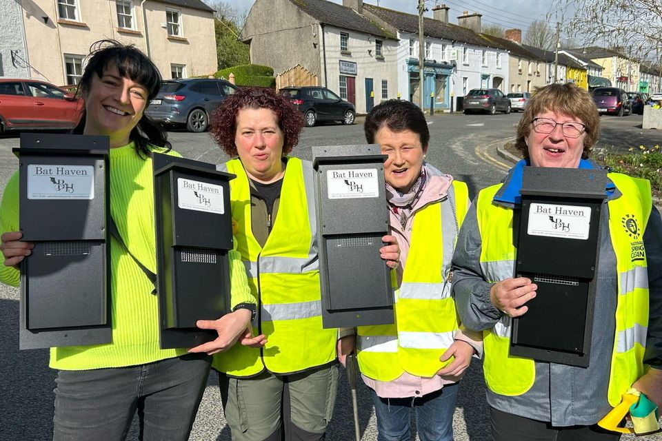 Tinahely Tidy Towns' Lucy Moller, Linda Hickey, Katriona Mulhall and Mary Keogh with their new bat boxes, courtesy of 'Bat Haven'.