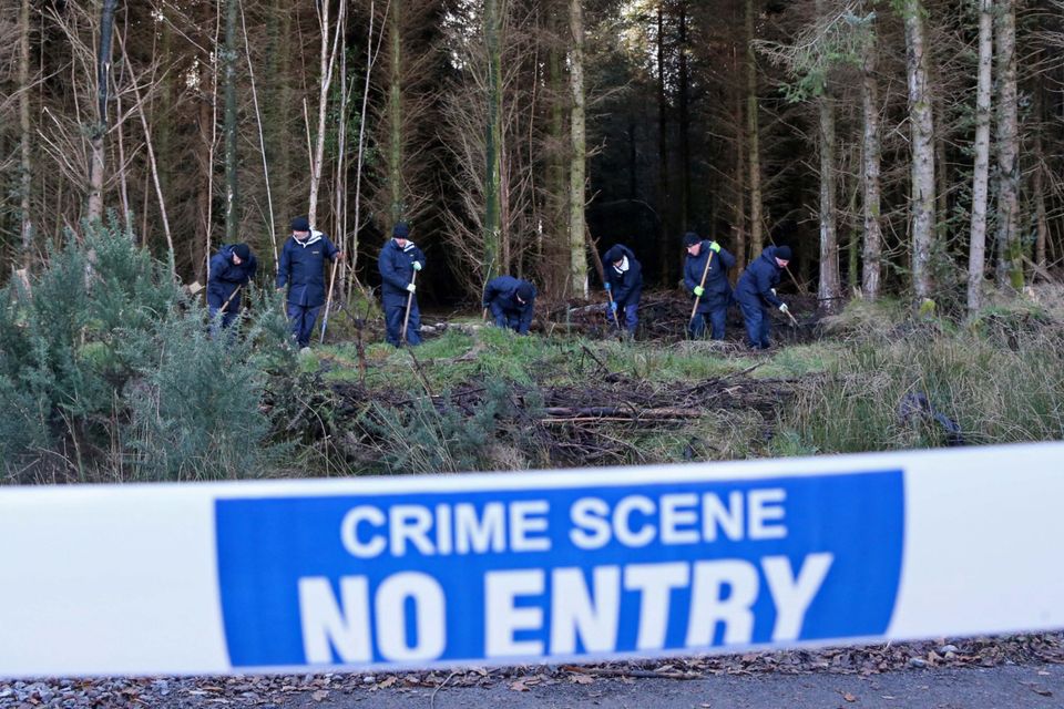 Gardai during a 2014 search of woodland for the remains of Fiona Pender