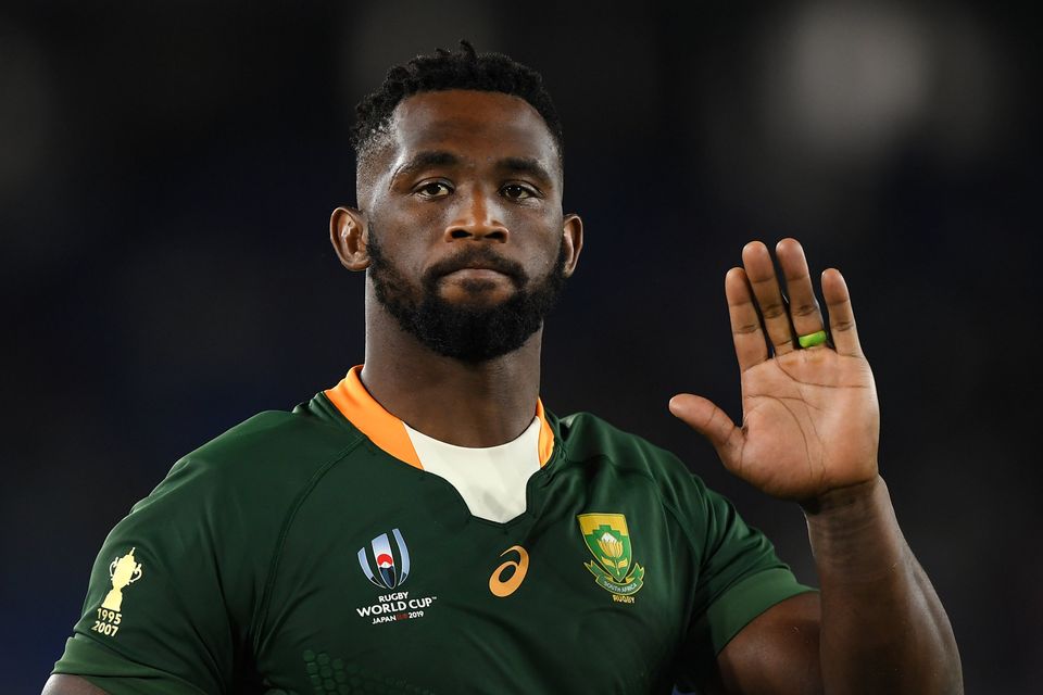 Springbok training 2024 jersey 2019