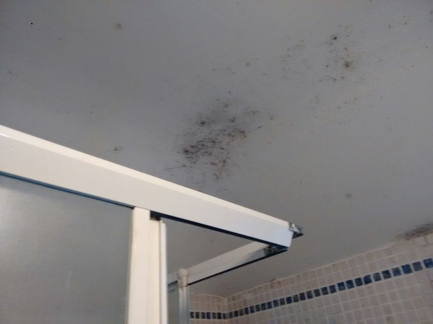Mould on the bathroom ceiling