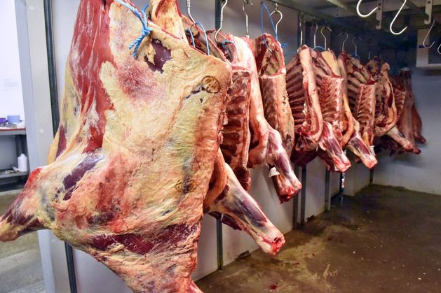 Cheaper imports add pressure to Irish beef market