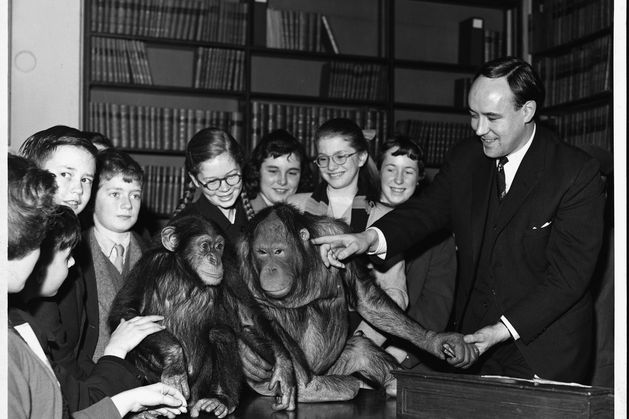 Obituary: Desmond Morris, the zoologist, surrealist painter and author of bestselling book ‘The Naked Ape’