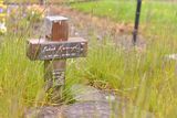 thumbnail: Patrick Kavanagh's grave, at Inniskeen, Co. Monaghan