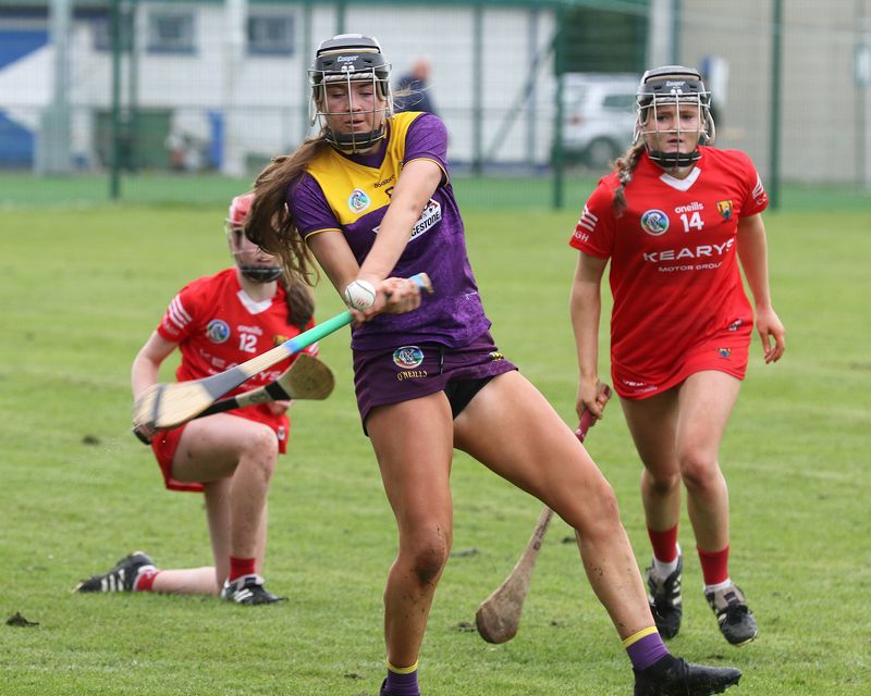 Cork’s quality an eye-opener for Wexford U-16s | Irish Independent