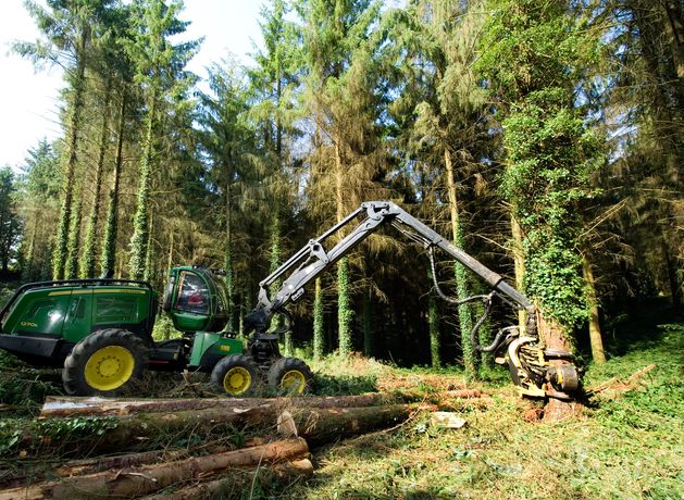 Coillte fund has bought over 5,000 hectares of forestry