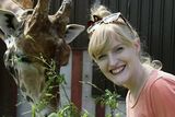 thumbnail: Sophie White with one of Fota's giraffes