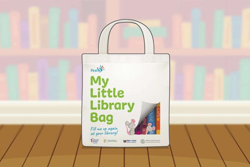 Little book hot sale bag