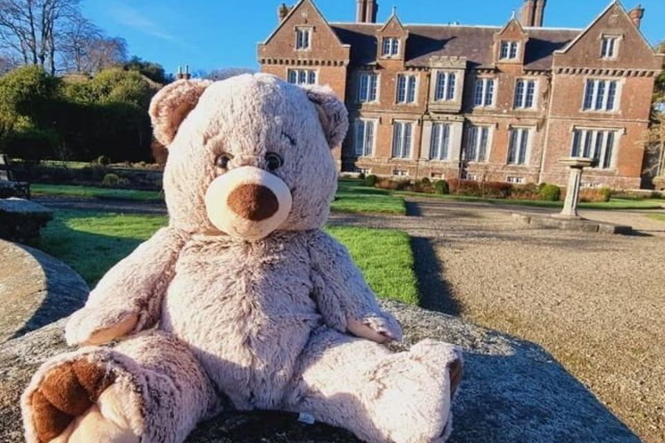 Teddy Bear's Picnic, Wells House and Gardens, Co. Wexford