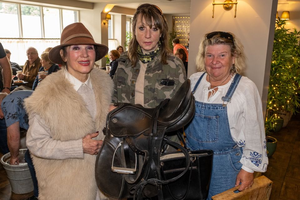Evelyn Branagh, trustee Joyce O'Connor and Geraldine Owens at the Animal Trust Fund Coffee Morning and Auction at the Wicklow Arms, Delgany. 
