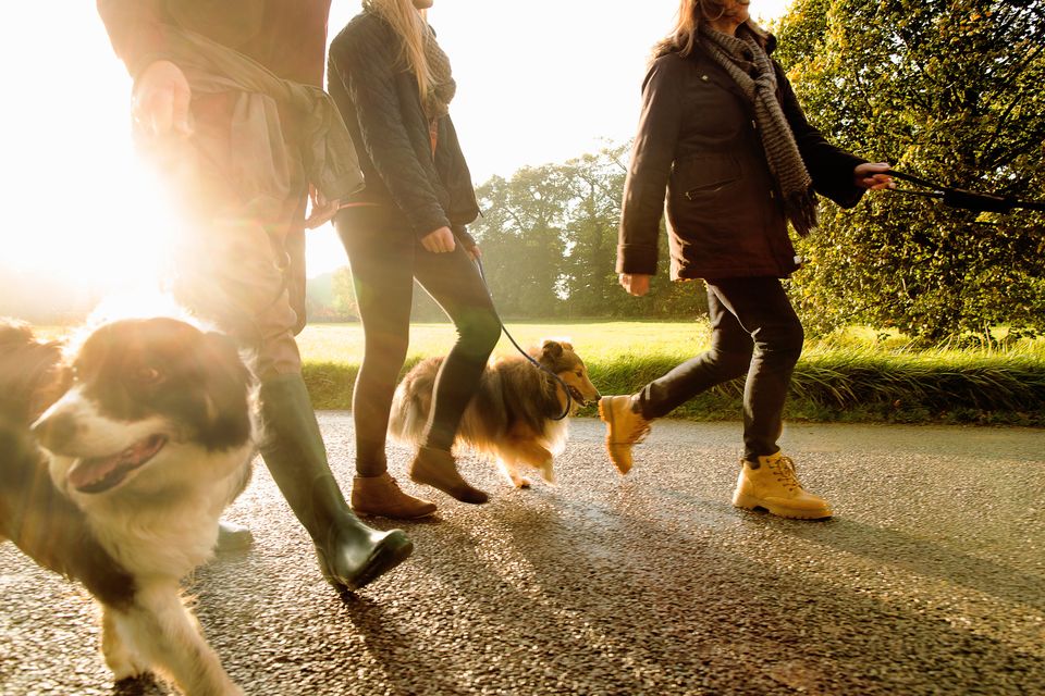 ​  'During Covid, all of a sudden, no one was going to the office, and they were going for walks every day,' says O’Keeffe. Photo: Getty Images  ​
