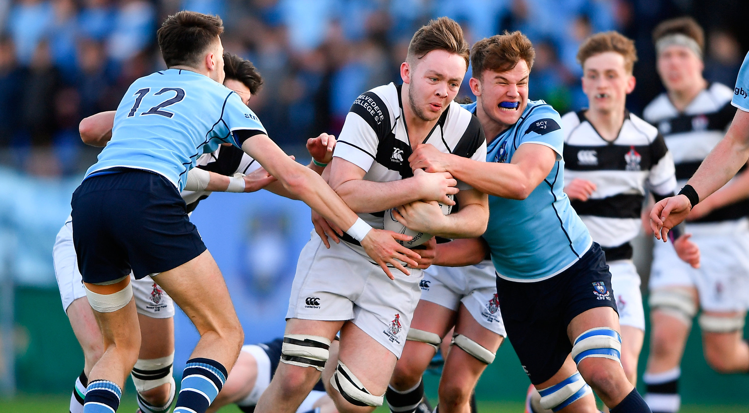 Leinster Rugby  St Michael's come out on top against Belvedere in