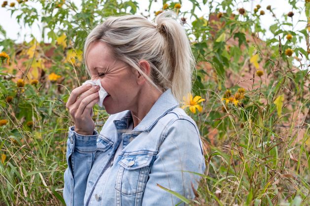 Bad news for hay fever sufferers as new report shows climate change is making pollen season longer