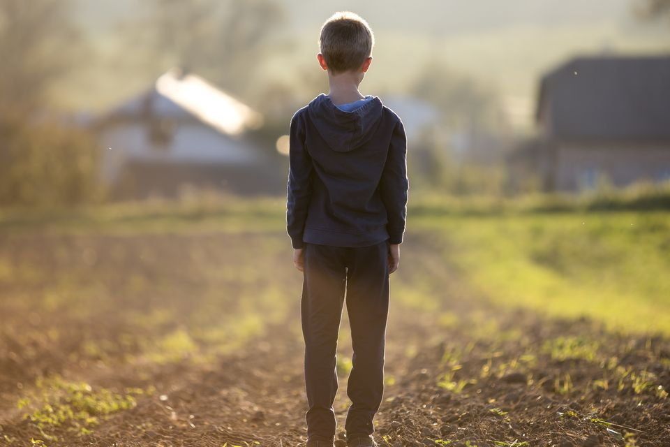 The children of unmarried women ‘boarded out’ to farms from mother and baby homes were often worked hard from a very young age. Photo: Picture posed/stock image