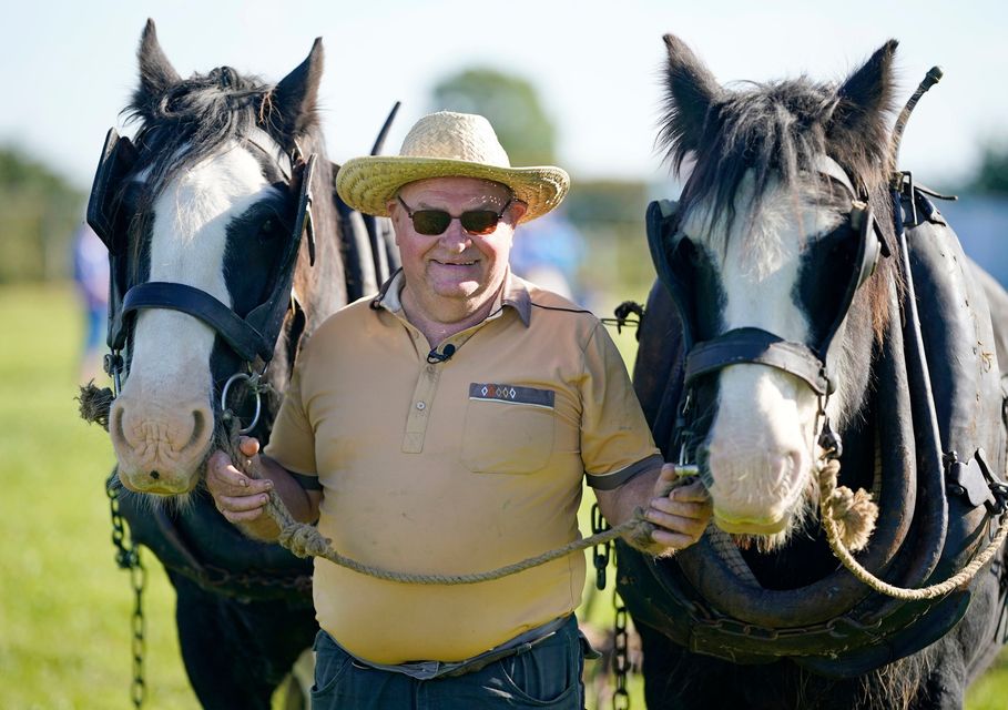 Gerry North from Offaly with horses Rooney (left) and Sunny  at the National Ploughing Championships at Ratheniska, Co Laois. Photo: Niall Carson/PA Wire