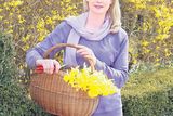 thumbnail: Colour me happy: Marie with daffodils