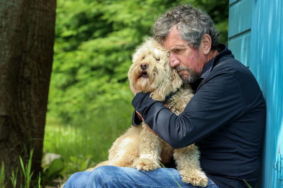 Charlie Bird and his dog Tiger at his home in Ashford, Co Wicklow. Picture by Gerry Mooney