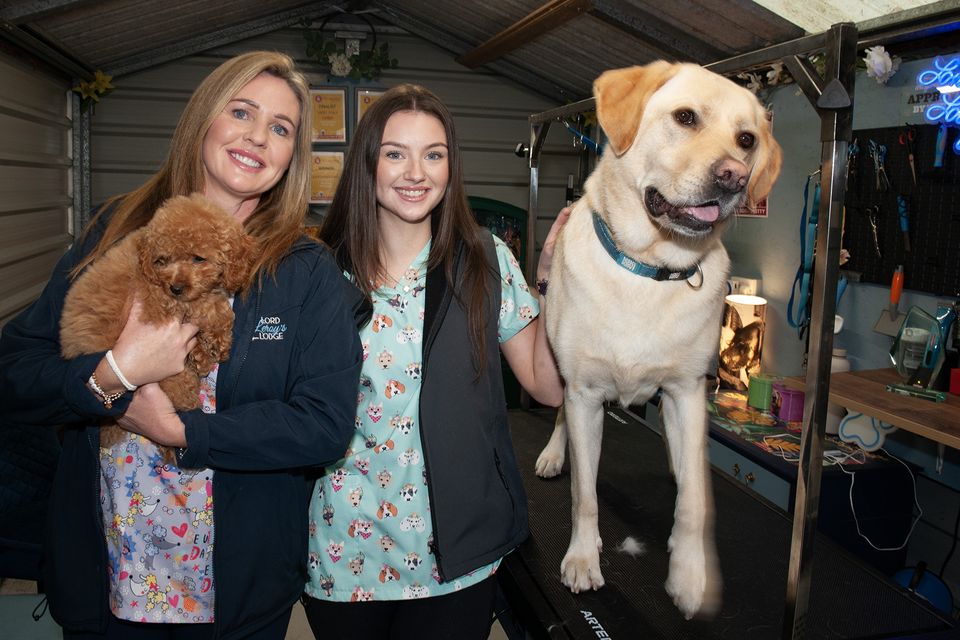 Sinead Quirke and Sarah Ryan with Millie and Ramsey at the Lord Leroy's Lodge in Castlebridge on Friday. Pic: Jim Campbell
