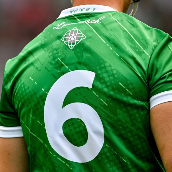 Limerick hurling jersey online