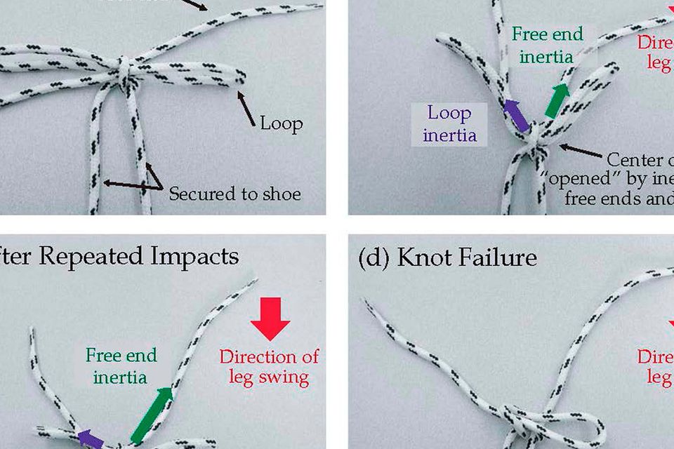 Inertia laces 2024