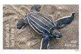 thumbnail: Leatherback turtle on the new USPS stamp. Photo: Rowan Byrne.