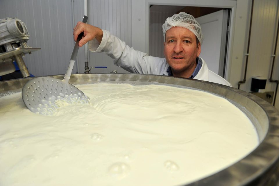 Hand-made: Michael Flanagan of Velvet Cloud in the yoghurt and cheese production facility. Photos: Ray Ryan