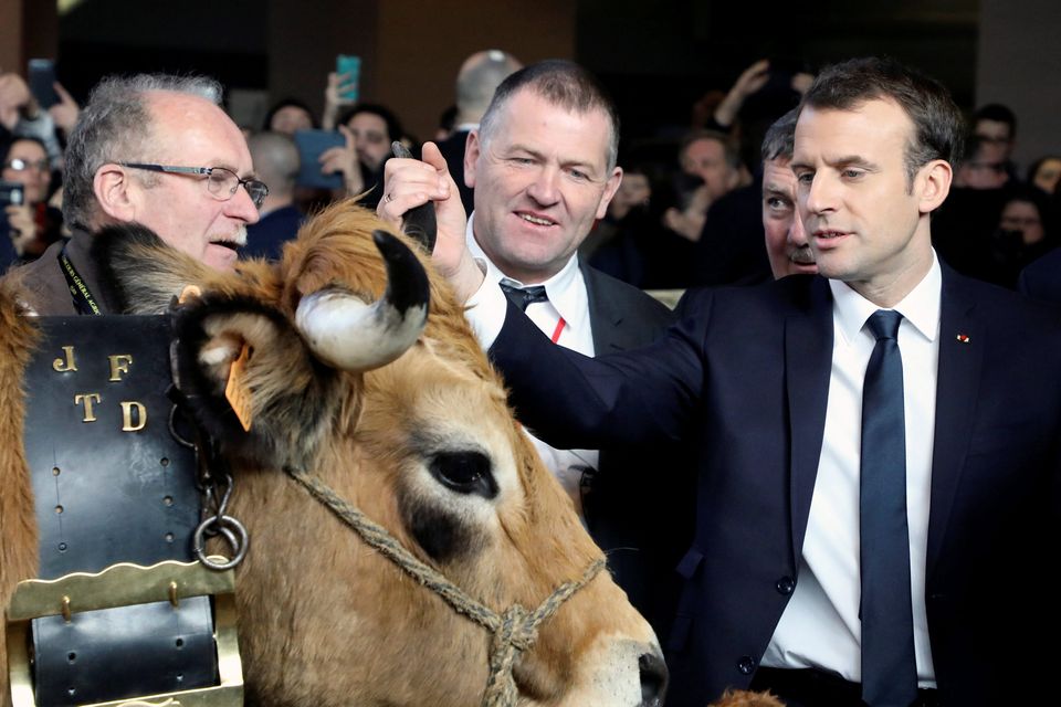 French President Emmanuel Macron touches an Aubrac breed cow as he visits the 55th International Agriculture Fair (Salon de l'Agriculture) in Paris, France, February 24, 2018.   REUTERS/Ludovic Marin/Pool