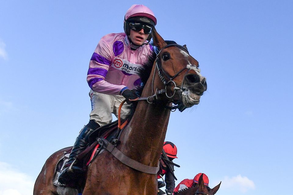 Jockey Harry Cobden on Stay Away Fay pass the winning post to win the Albert Bartlett Novices' Hurdle at last year's Cheltenham Festival. Photo: Seb Daly/Sportsfile