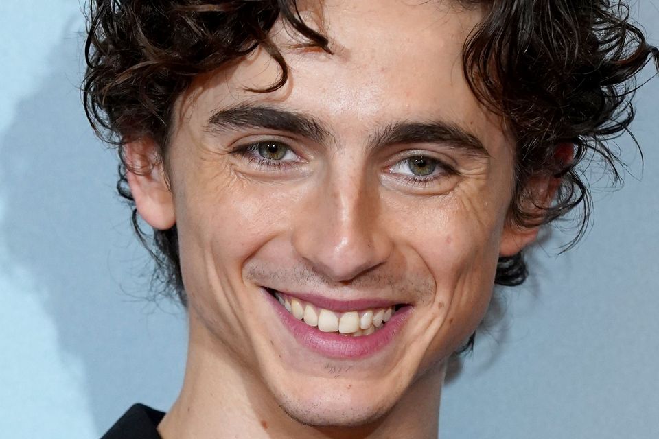Timothée Chalamet in Bones and All cannibal love story