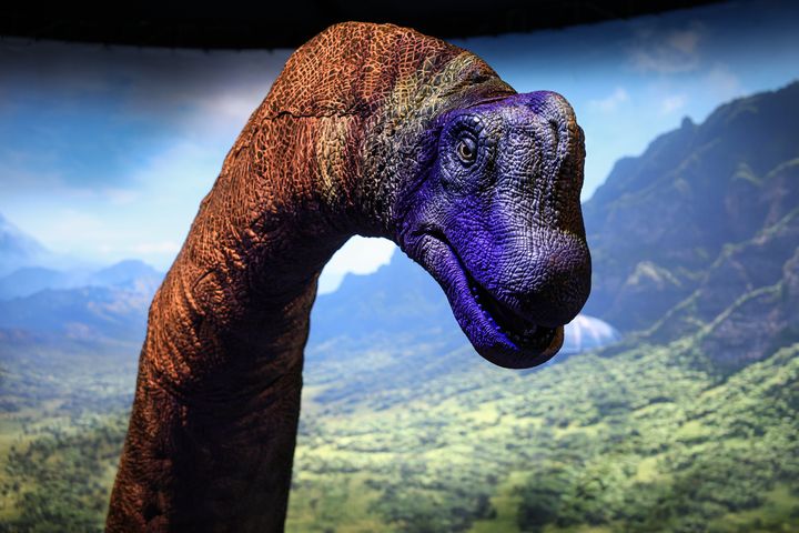 Discovery bridges key gap in evolution of colossal dinosaurs