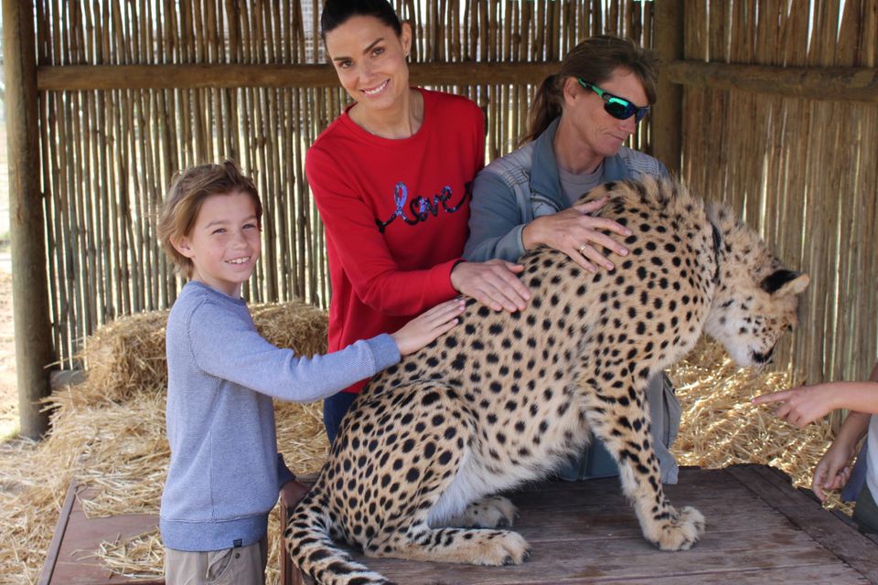 The cheetah sanctuary where we were educated about these beautiful animals and the practices in place to help save them