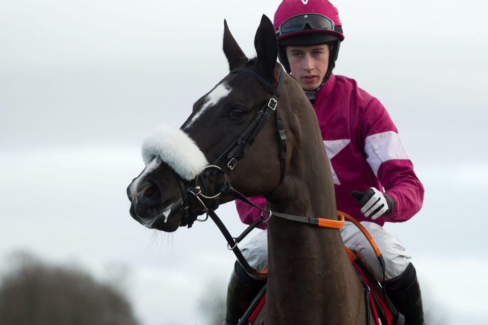 Bryan Cooper and Don Cossack before their nine-and- a-half length victory at Thurles (Racing Post)