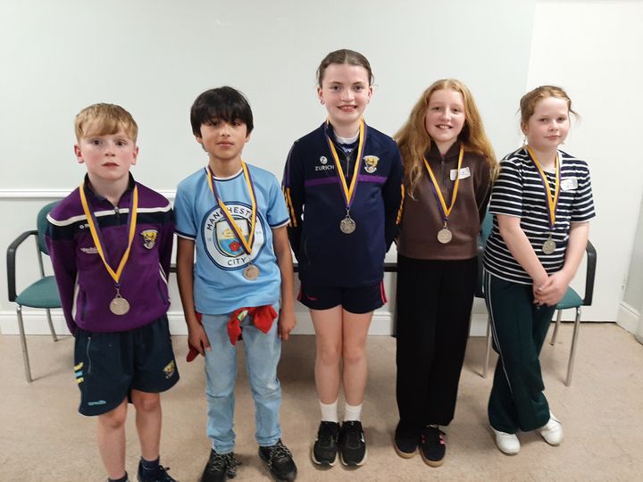 Community Games draughts finals take place in Bree