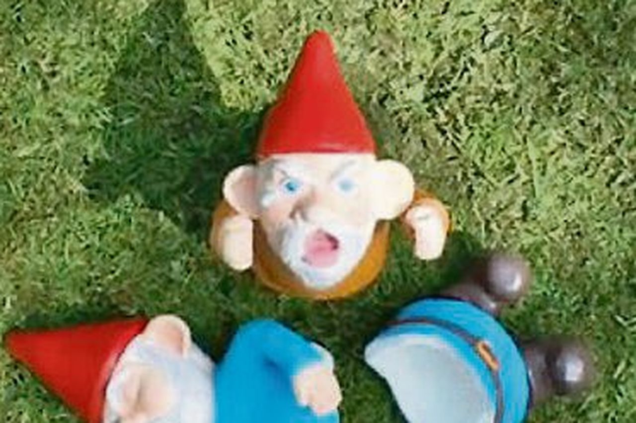 garden gnome roasting｜TikTok Search