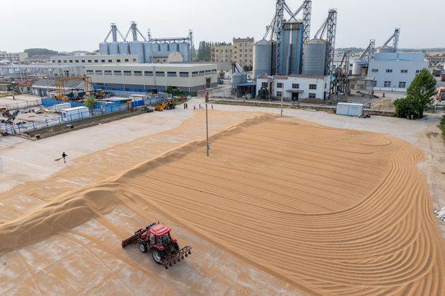 China’s waning appetite for grain spells danger for world market