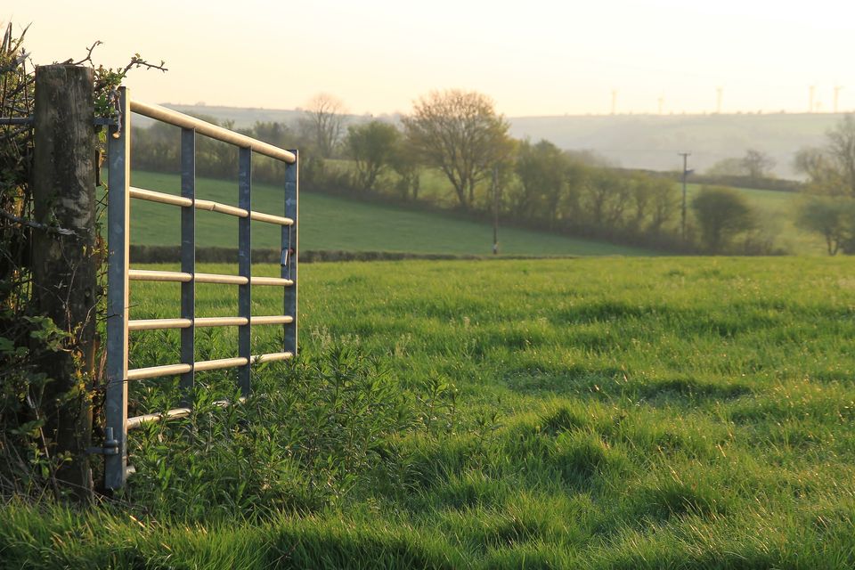 Intense efforts underway to reduce impact of farm inheritance tax changes: As real-life examples reveal potential impact