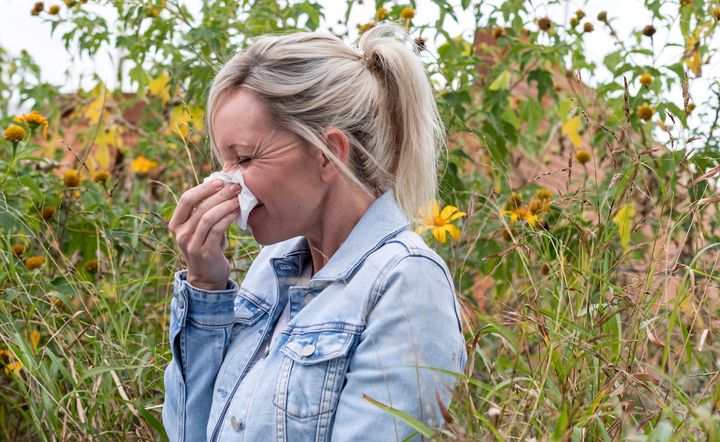 Bad news for hay fever sufferers as new report shows climate change is making pollen season longer