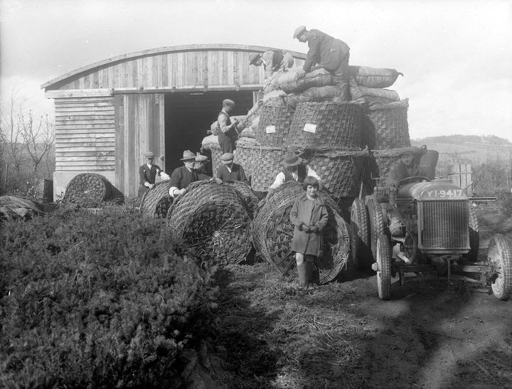 Richly illustrated ‘The Story of Us’ provides a snapshot of a very different Ireland from Census 1926