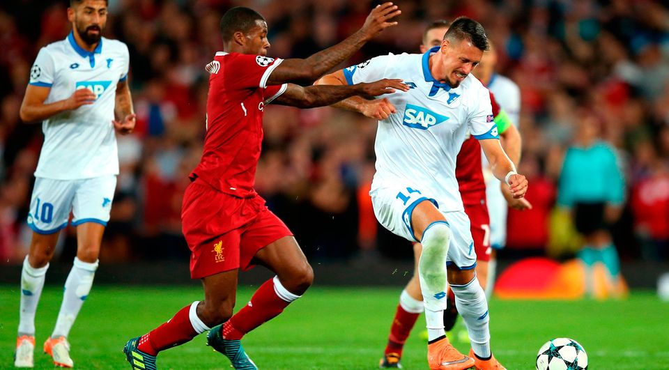 Georginio Wijnaldum of Liverpool and Sandro Wagner of Hoffenheim battle for possession. Photo: Getty Images