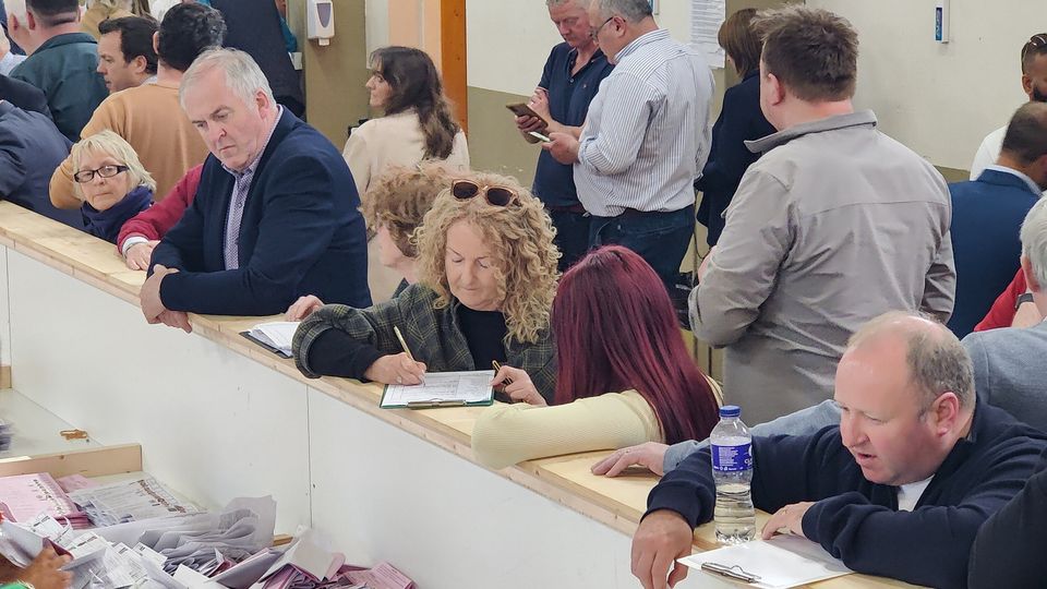 People counting the votes at the Roscommon electoral counting centre