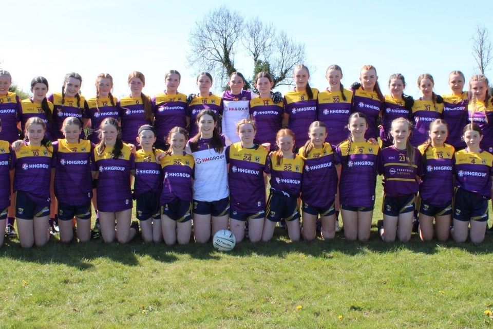 Wexford, who lost out to Wicklow in the Leinster ladies’ football Under-14 Bronze final.