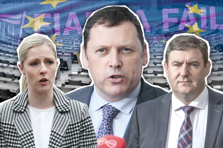 Fianna Fáil to run two senators with Barry Cowen in shock Euro elections move  image