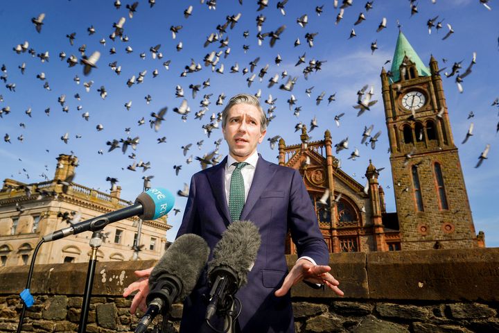 Simon Harris’s election fixer clears out Kerry field for Fine Gael ticket