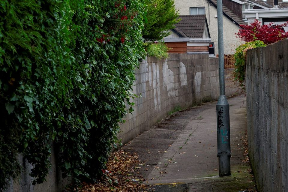 The lane where Philip’s bag was found, in 1986 and today, close to the Ballyroan Road in Rathfarnham