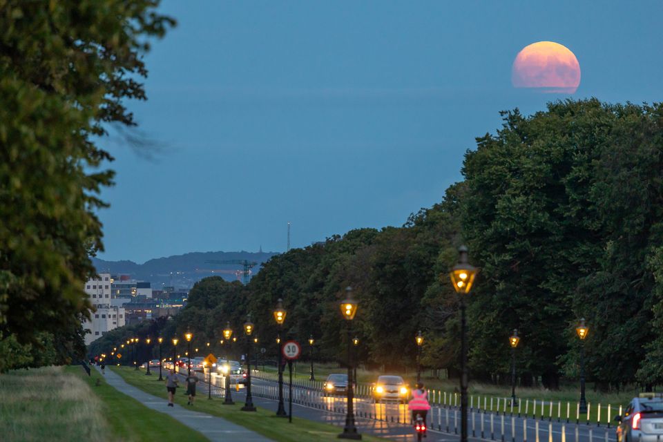 Суперголубая луна в парке Феникс в Дублине во вторник.  Фото: Гэри Эш 