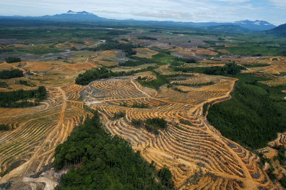 An aerial viewof a cleared forest area under development for palm oil plantations in Kapuas Hulu district of Indonesia's West Kalimantan province