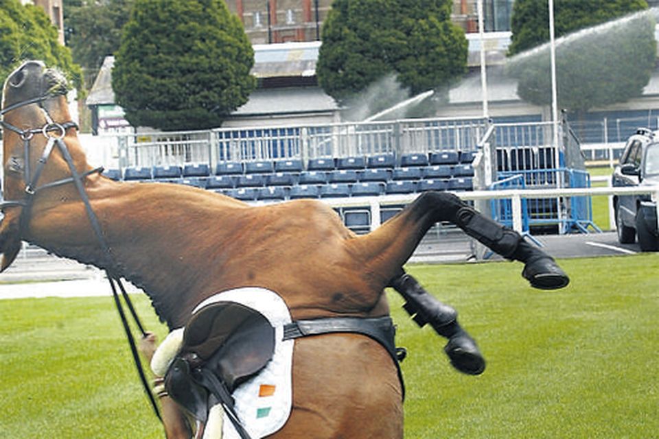 Lucky escape for model Pippa after 'spooked' horse falls on top of her |  Irish Independent