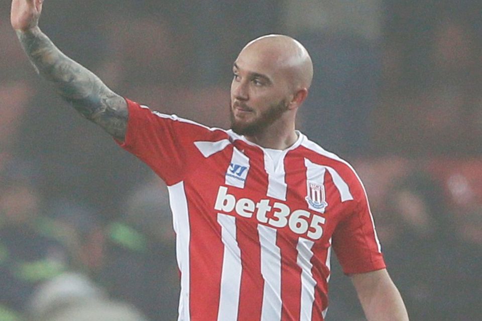 Stephen Ireland hits two to save Stoke City s FA blushes Irish